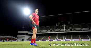 George North looks set for new Wales role after training ground trial runs revealed
