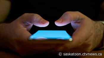 From wedding planning, a bug in the toilet and a baby bear, here are the top 10 reasons not to call 911