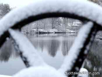 Police, fire respond to rescue call on Rideau River
