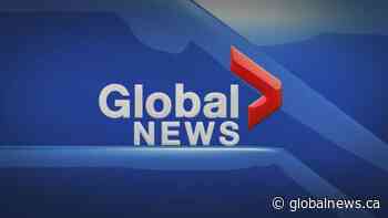 Global News Hour at 6 Edmonton: Jan. 22