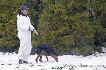 Much-raided Langley animal rescue society loses registered charitable status