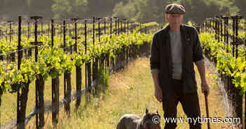 Review: ‘Picard’ Is, Finally, ‘Star Trek: Peak TV’