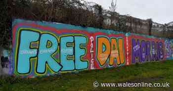 A massive ‘Free Dai Morris’ mural has appeared at St Helen’s Recreation Ground in Swansea