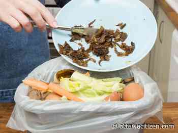 Pellerin: Cutting down on food waste would help people and the planet