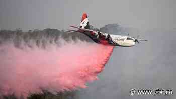 Firefighting plane crashes in Australia, kills 3 American volunteers