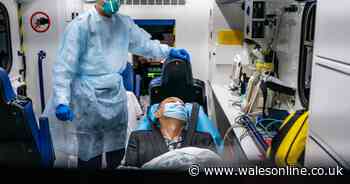 Two UK patients in hospital isolation amid fears of Wuhan Virus