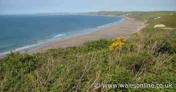 Royal Marine recruit critically ill after training accident