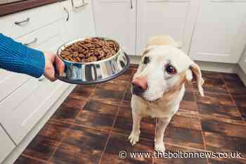 This dog food has been urgently recalled over salmonella risk