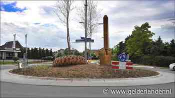 Zigzaggende wegpiraat reed voor botsing door rood en nam rotonde tegen het verkeer in