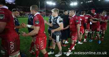 The truth about Welsh regional rugby crowds and who has the biggest gates