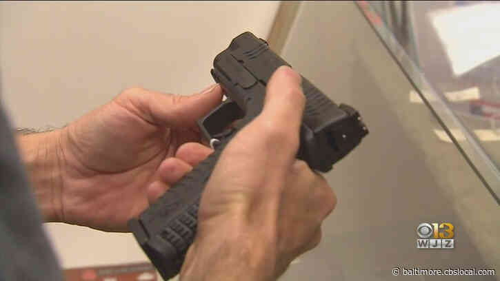 Virginia Senate Passes ‘Red Flag’ Gun Law, Despite Rally