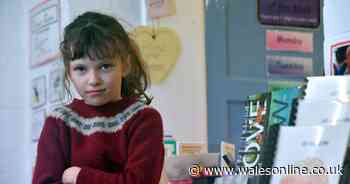 'My dyslexic daughter can't get the help she needs now because she's a Welsh speaker'