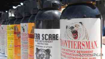 Saskatoon police Supt. says bear spray should be banned in the city