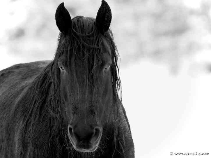 Colorado’s Vista Verde sparkles in winter
