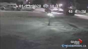 Video appears to show grader damaging 2 vehicles parked on Edmonton road