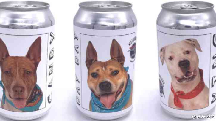 Florida brewery puts shelter dogs on beer cans to help find their new families