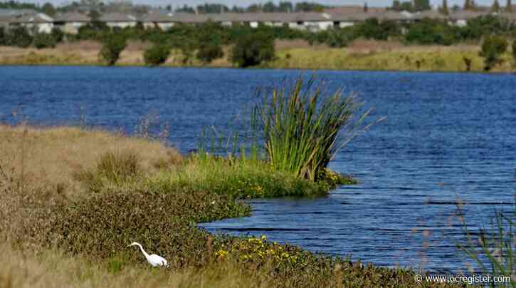 Trump removes protections for waterways, aiding developers