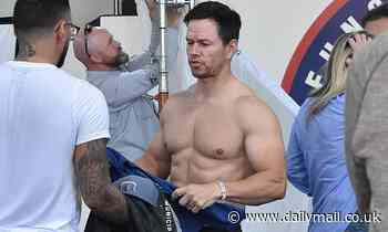 Mark Wahlberg reveals his chiseled abs and muscular biceps during a grueling workout in Los Angeles