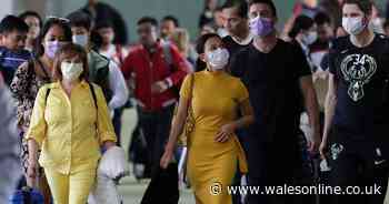 How experts think the coronavirus started - and what the UK plans to do if it spreads