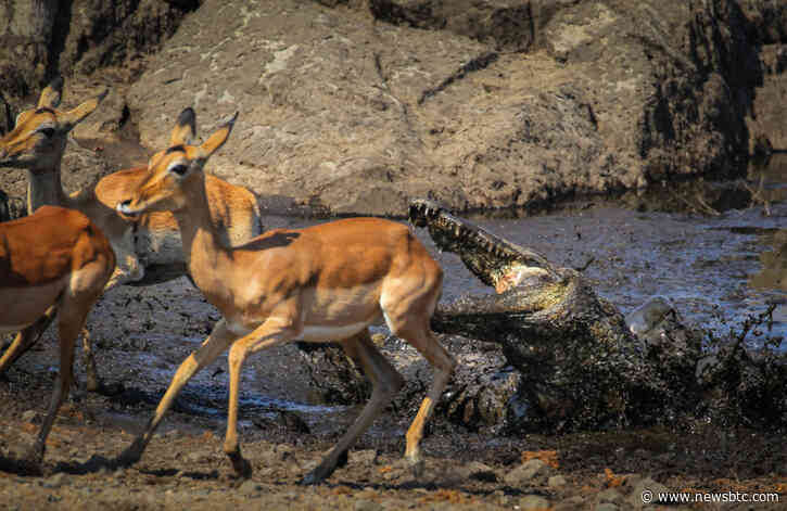 Fear of Mining ‘Death Spiral’ Blocks Path to $100,000 Bitcoin