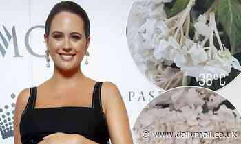 Jesinta Campbell shares hack for reviving wilted hydrangeas 