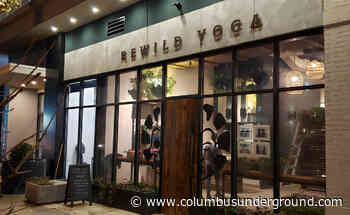REWILD Yoga Opens With Lush, Jungle Feel