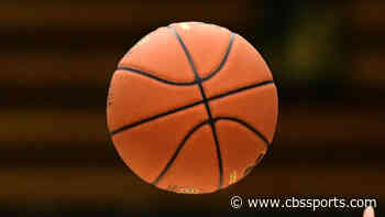 WATCH: Division III basketball referee spoils incredible buzzer-beater with botched call