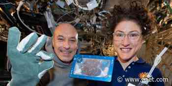 Chocolate chip cookies baked in space took two hours to make     - CNET