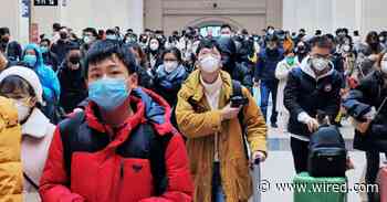 No, the Wuhan Virus Is Not a 'Snake Flu'