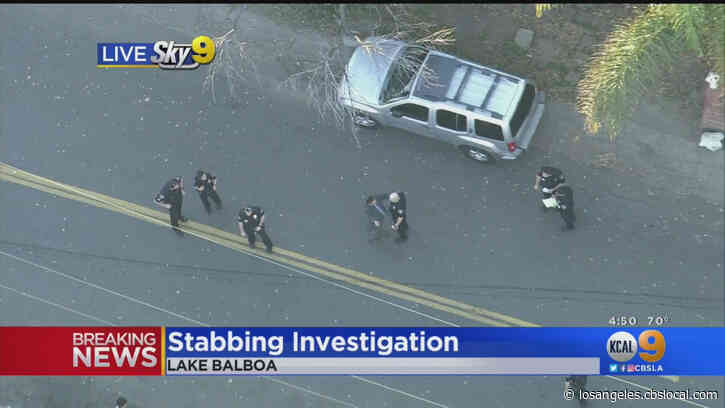 Young Boy Beaten, 2 People Stabbed In Fight Near Lake Balboa Middle School