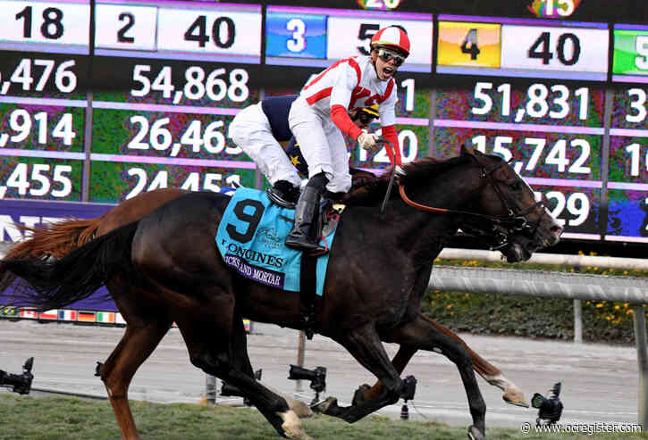 Bricks and Mortar is runaway winner for Horse of the Year at Eclipse Awards
