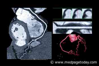Dense CAC Might Mark Lower-Risk Coronary Plaque