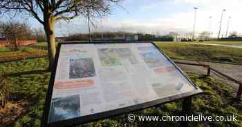 Yobs on bikes with blow torches are burning down trees in South Shields