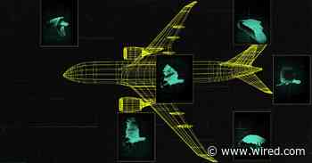 The Bird 'Snarge' Menacing Air Travel