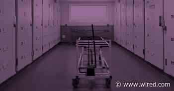 The Future of Death-Tech Has No Rules—Yet