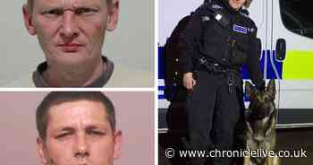 Stolen Porsche written-off after high speed chase through Sunderland