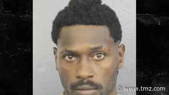 Antonio Brown Surrenders To Police, Takes Pissed Off Mug Shot