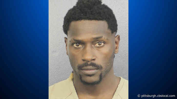 Ex-Steeler Antonio Brown Appears Before Florida Judge