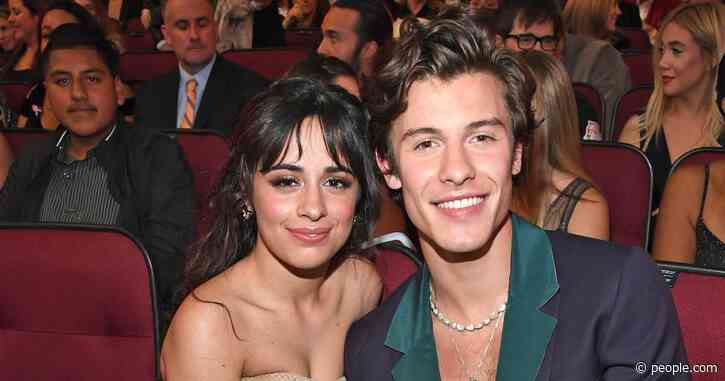 Camila Cabello Jokes She and Shawn Mendes Will Accept Grammy Award in Their Underwear