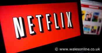 Netflix drops hint about its half-price mobile-only subscription