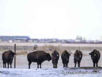 Letter of the Day: Park has several local 'founders'