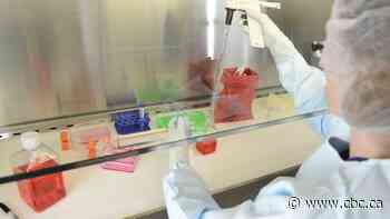 Saskatchewan lab joins global effort to develop coronavirus vaccine