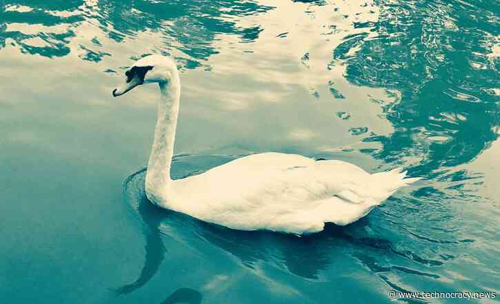 Financial Crisis: BIS Warns On ‘Green Swan’ Climate Event