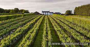 ADVERTORIAL: 13 perfect short break experiences you must try in Wales