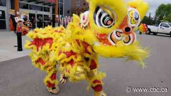 'Doing squats the whole time': Chinese lion dance brings good fortune and sore muscles