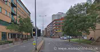 'Drunken lunatic' put people's lives at risk driving wrong way down dual carriageway in Cardiff