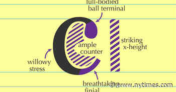 These People Really Care About Fonts