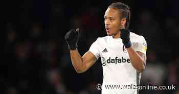 Bobby Reid signs for Fulham full time in £10m transfer from Cardiff City