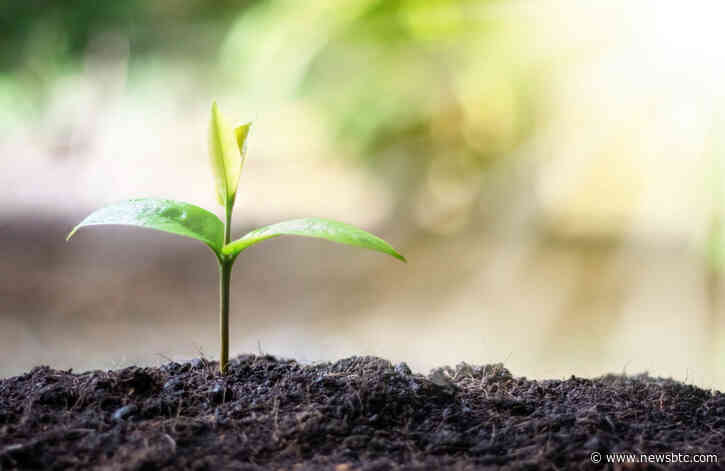 Top Analyst Who Called Bitcoin’s Crash to $6,000 Says This is Next