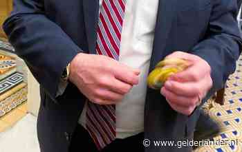 Strenge regels op Trumps afzettingsproces: van verbod op koffie tot urenlang verplicht blijven zitten